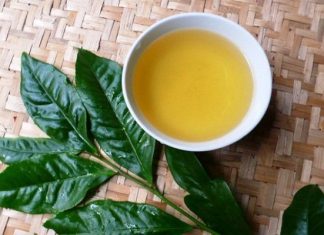 Cách để loại bỏ tóc dầu, trị tóc nhờn hiệu quả nuoc-che-xanh