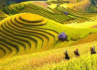 Hà Giang – Một nét đẹp không núi đá bạn nên khám phá Ha-Giang–Mot-net-dep-khong -nui-da