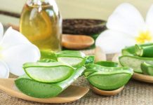 Những tác dụng của nha đam đối với chăm sóc da, sức khỏe và những tác dụng có hại cần lưu ý tac-dung-cua-nha-dam-1