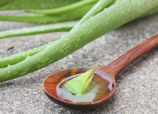 Cách chăm sóc da bằng nha đam tốt nhất tại nhà tac-dung-cua-nha-dam