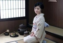 Cây cỏ ngọt có tác dụng gì mà người Nhật tin dùng đến vậy? trà cỏ ngọt có tác dụng gì