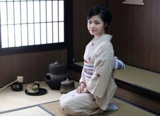 Cây cỏ ngọt có tác dụng gì mà người Nhật tin dùng đến vậy? trà cỏ ngọt có tác dụng gì