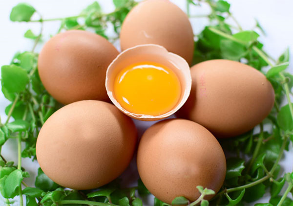 Trứng thuộc Những loại thực phẩm tốt cho da