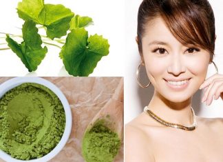 Cách làm mặt nạ rau má sữa chua lấy lại làn da mịn màng tuổi 20 cách làm mặt nạ rau má sữa chua