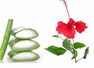 Tất tần tật các công thức mặt nạ nha đam cho tóc Tất tần tật các công thức mặt nạ nha đam cho tóc tăng trưởng cực nhanh