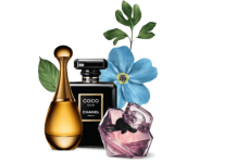 Nước hoa nào thơm lâu nhất và các yếu tố ảnh hưởng đến độ lưu hương Nước hoa nào thơm lâu nhất và các yếu tố ảnh hưởng đến độ lưu hương