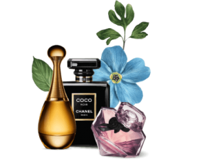 Nước hoa nào thơm lâu nhất và các yếu tố ảnh hưởng đến độ lưu hương Nước hoa nào thơm lâu nhất và các yếu tố ảnh hưởng đến độ lưu hương