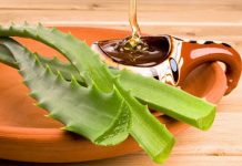 Trẻ ra 3 đến 5 tuổi với cách làm mặt nạ nha đam với mật ong chăm sóc da Trẻ ra 3 đến 5 tuổi với cách làm mặt nạ nha đam với mật ong