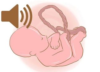 Chọn nhạc cho thai nhi nghe để bé ra đời thông minh và khỏe mạnh cach-chon-nhac-cho-thai-nhi-de-be-ra-doi-thong-minh-va-khoe-manh (5)cach-chon-nhac-cho-thai-nhi-de-be-ra-doi-thong-minh-va-khoe-manh (5)