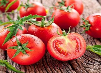 10+ cách chăm sóc da bằng cà chua hiệu quả ngay sau lần đầu áp dụng 10+ cách chăm sóc da bằng cà chua hiệu quả ngay sau lần đầu áp dụng