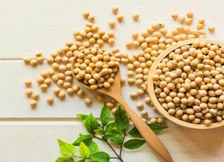 8 cách chăm sóc da bằng đậu nành đem lại tác dụng thần kỳ Chăm sóc da bằng đậu nành