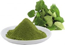 9 tuyệt chiêu chăm sóc da bằng rau diếp cá lưu truyền từ dân gian 9 cách chăm sóc da bằng rau diếp cá từ dân gian cho hiệu quả bất ngờ