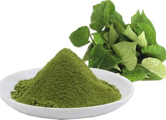 9 tuyệt chiêu chăm sóc da bằng rau diếp cá lưu truyền từ dân gian 9 cách chăm sóc da bằng rau diếp cá từ dân gian cho hiệu quả bất ngờ