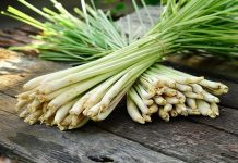 Trắng mịn và hết mụn nhanh chóng bằng cách chăm sóc da bằng sả tại nhà 8 cách chăm sóc da bằng sả giúp da trăng mịn và nhanh hết mụn