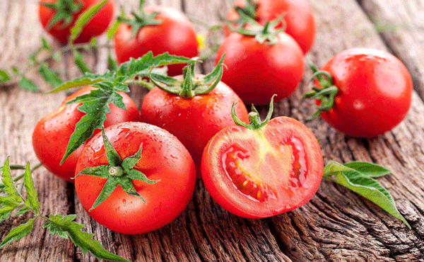 Cà chua cải thiện khả năng sản sinh nam giới