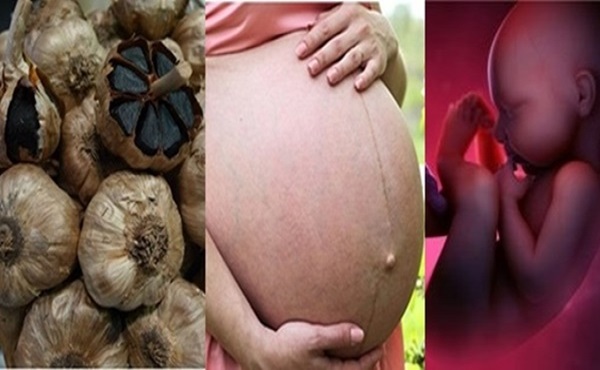 Phụ nữ mang thai cần bổ sung 2-4g tỏi đen hằng ngày