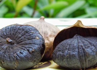 Nguyên nhân và cách khắc phục hiện tượng tỏi đen bị ướt khi làm tại nhà Nguyên nhân và cách khắc phục hiện tượng tỏi đen bị ướt khi làm tại nhà