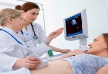 Bảng chiều dài xương mũi thai nhi theo tuần giúp mẹ theo dõi sự phát triển của con Bảng chiều dài xương mũi thai nhi theo tuần giúp mẹ bầu theo dõi sự phát triển của con