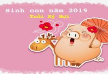 Sinh con năm 2019 Kỷ Hợi thuộc mệnh gì, hợp với tuổi bố mẹ nào? Sinh con năm 2019 Kỷ Hợi thuộc mệnh gì, hợp với tuổi bố mẹ nào?