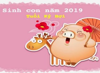Sinh con năm 2019 Kỷ Hợi thuộc mệnh gì, hợp với tuổi bố mẹ nào? Sinh con năm 2019 Kỷ Hợi thuộc mệnh gì, hợp với tuổi bố mẹ nào?