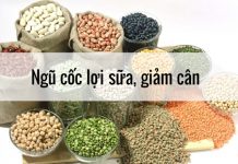 Cách làm ngũ cốc lợi sữa giảm cân giúp các mẹ không lo về dáng, an tâm chăm con Cách làm ngũ cốc lợi sữa giảm cân giúp các mẹ không lo về dáng, an tâm chăm con