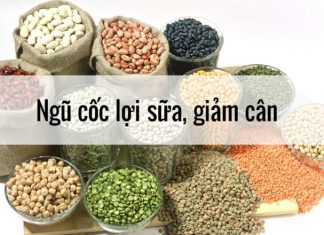 Cách làm ngũ cốc lợi sữa giảm cân giúp các mẹ không lo về dáng, an tâm chăm con Cách làm ngũ cốc lợi sữa giảm cân giúp các mẹ không lo về dáng, an tâm chăm con