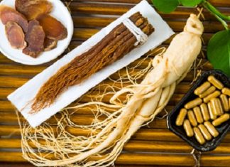 Tác hại khôn lường nếu không biết nên uống sâm vào lúc nào trong ngày Tác hại khôn lường nếu không biết nên uống sâm vào lúc nào trong ngày