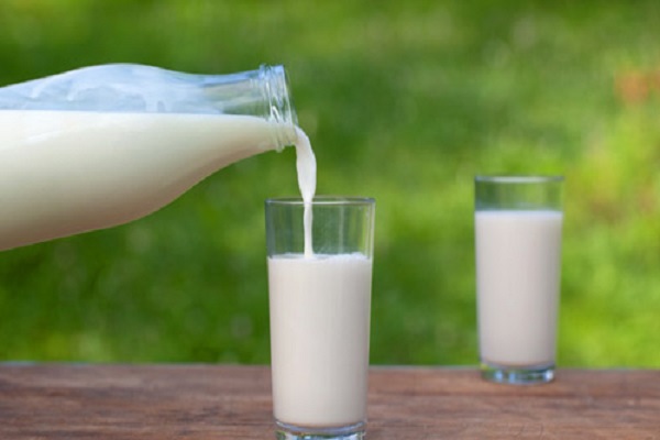 Máu nhiễm mỡ có nên uống sữa không?
