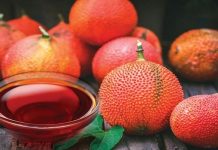 Khám phá 14 tác dụng tuyệt vời của dầu gấc khiến bạn bất ngờ Khám phá 14 tác dụng của dầu gấc khiến bạn bất ngờ