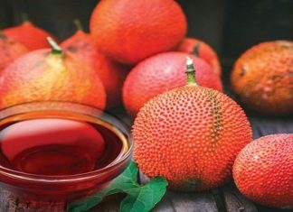 Khám phá 14 tác dụng tuyệt vời của dầu gấc khiến bạn bất ngờ Khám phá 14 tác dụng của dầu gấc khiến bạn bất ngờ