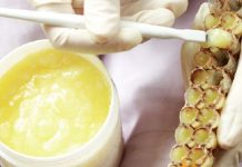 10+ tác dụng của sữa ong chúa bạn không thể ngờ hết 10+ tác dụng của sữa ong chúa bạn không thể ngờ hết