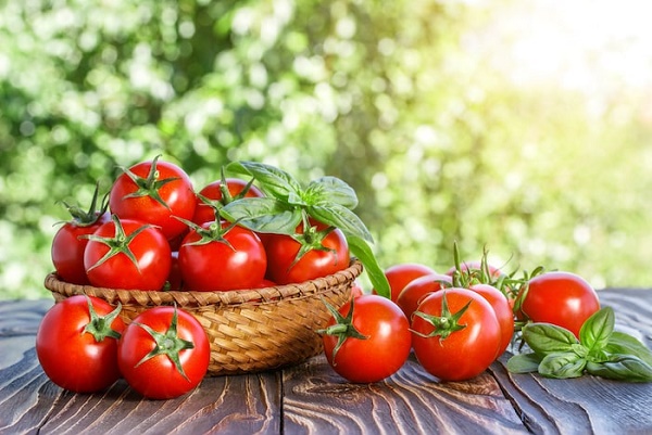 Thực đơn giảm cân bằng cà chua hiệu quả