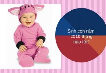 Sinh con tuổi Kỷ Hợi tháng nào tốt, đem lại may mắn cho gia đình? Sinh con tuổi Kỷ Hợi tháng nào tốt, đem lại may mắn cho gia đình?