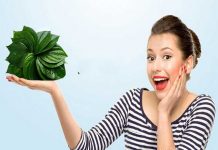 Điểm danh 5 tác dụng của lá trầu không với da mặt mà chị em không nên bỏ qua