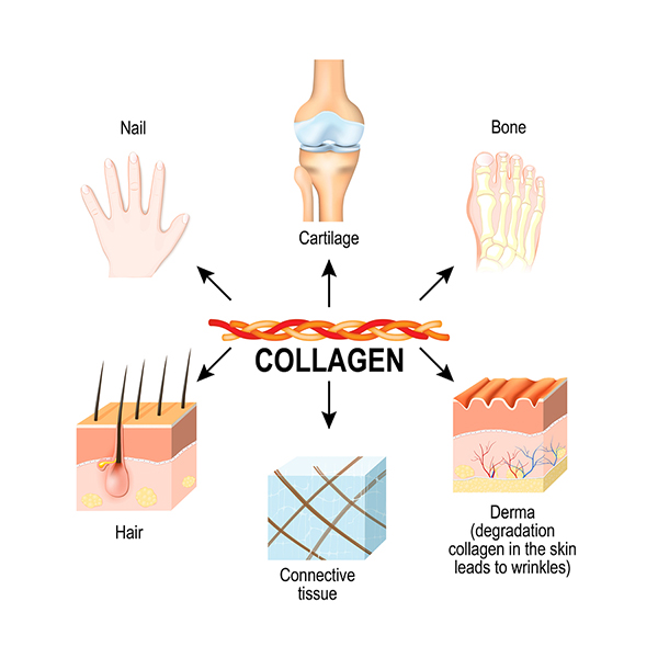 collagen-dep-da-9.jpg