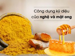 Phát sốt với 6 mẹo dưỡng da bằng mật ong cực hiệu quả Phát sốt với 6 mẹo dưỡng da bằng mật ong cực hiệu quả