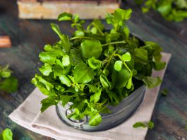 5+ loại rau củ trị nám da hiệu quả bất ngờ rau củ trị nám da