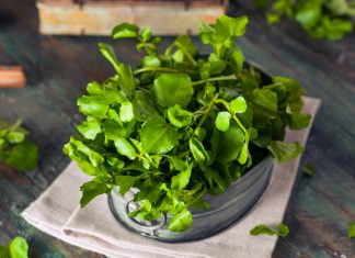 5+ loại rau củ trị nám da hiệu quả bất ngờ rau củ trị nám da