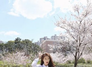 Quần tây lửng Hàn Quốc thanh lịch đi làm, sành điệu đi chơi