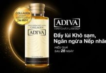 (Chia Sẻ) Top 10 Lăn khử mùi tốt nhất, hiệu quả nhất hiện nay 2021