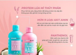 Tất tần tật review dầu gội Hairburst kích thích mọc tóc, ngăn rụng tóc Thành phần thiên nhiên có trong dầu gội Hairburst